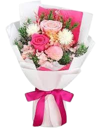 Carnations Bouquet